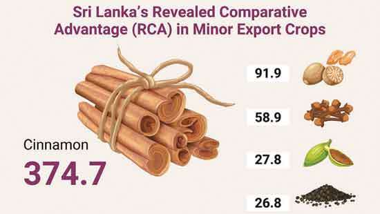 SL’s road to global competitiveness: Insights from trade, energy and agriculture policies