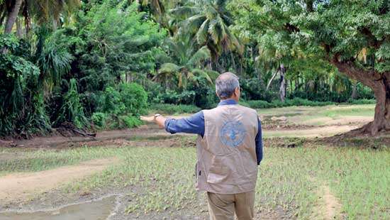 A reform agenda:Rebuilding Sri Lanka’s farming after Cyclone Ditwah
