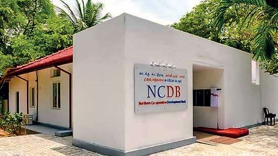 Moving Towards a Development Bank