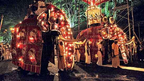 The Elite Guide to Sri Lanka A Visual and Cultural Odyssey by Eshan Goonesekera