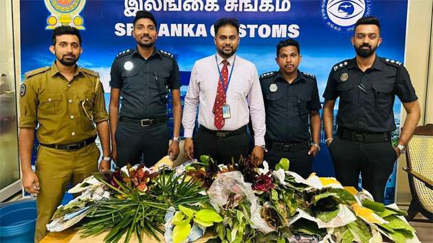 Lankan arrested at BIA over plant smuggling