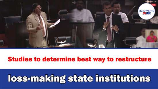 Studies to determine best way to restructure loss-making state institutions