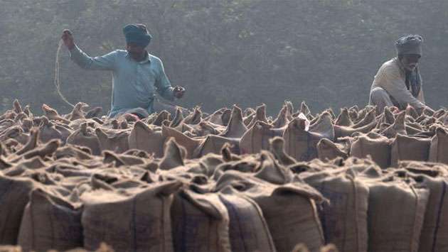India’s rice stocks surge to record high as paddy procurement climbs