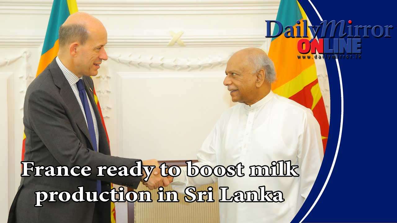 France ready to boost milk production in Sri Lanka