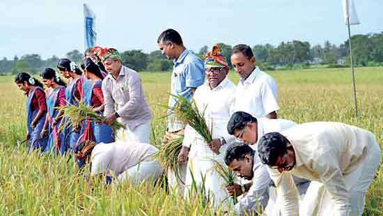 ComBank celebrates success of pilot Agri Modernisation Village