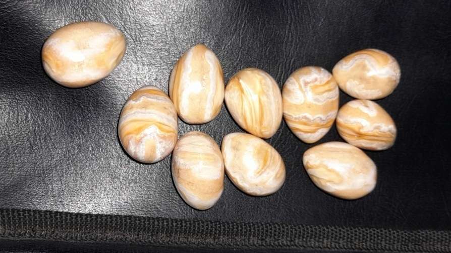 Three arrested while selling 10 precious Elephant Pearls