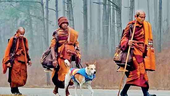 Walk for Peace by Ven. Pannakara: Buddha’s teachings promoted by a global peace walker!