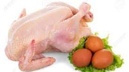 No intolerable price hike on eggs, chicken at year-end: Poultry Assn.