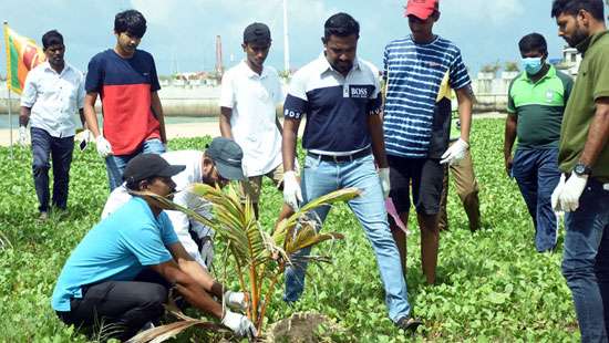 Galle Face gets cleaner look..