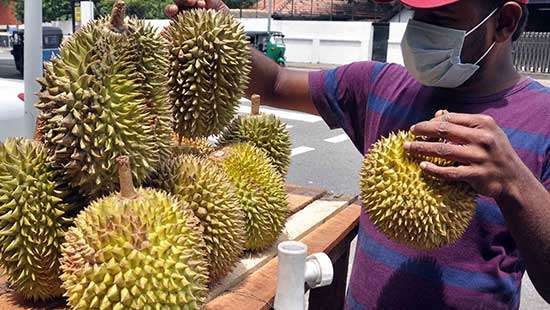 Time to taste seasonal fruits...