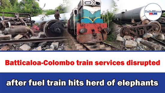 Batticaloa-Colombo train services disrupted after fuel train hits herd of elephants