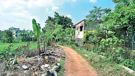 Despite ‘Clean SL’ campaign… UDA allows Garbage Dump in Kotte