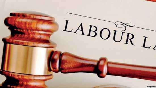 Legal fraternity calls for urgent changes to labour laws