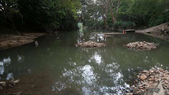 Tanks, anicuts in National Parks to be filled with water  for tourism management