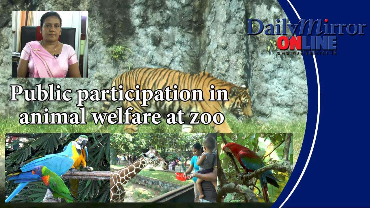 Public participation in animal welfare at zoo