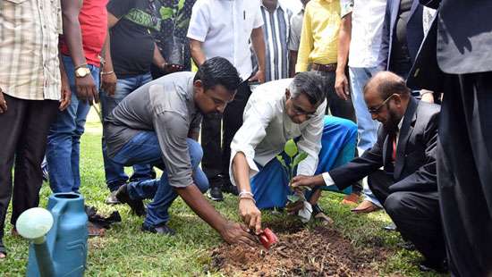 1,000 jak tree plants; solution to future food crisis