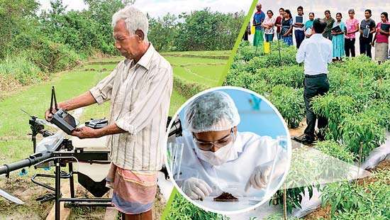 DIMO Agribusinesses elevates  farmers into agripreneurs