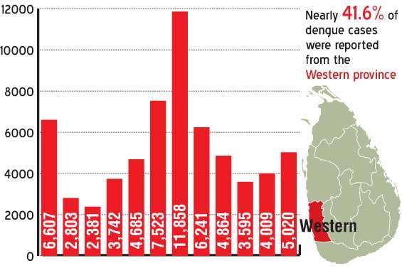 Dengue cases at an all-time high after 2 years: Experts