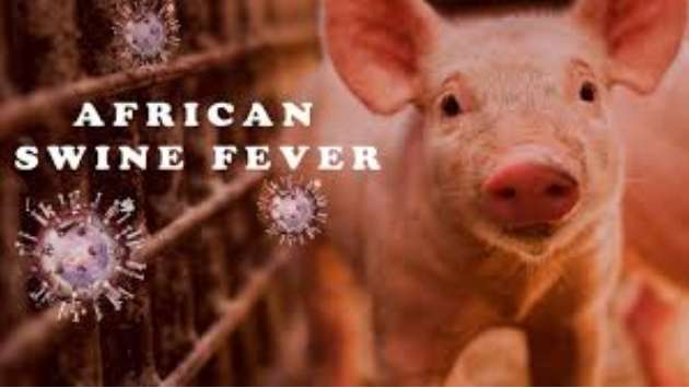 Gazette issues to curb spread of African Swine Fever