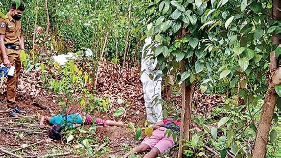 Lovers electrocuted by live wire in cinnamon plantation