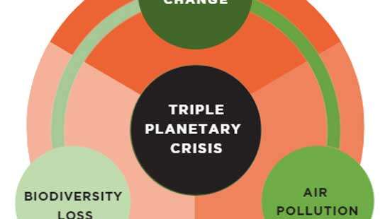 Addressing the Triple Planetary Crisis for Sri Lanka’s health