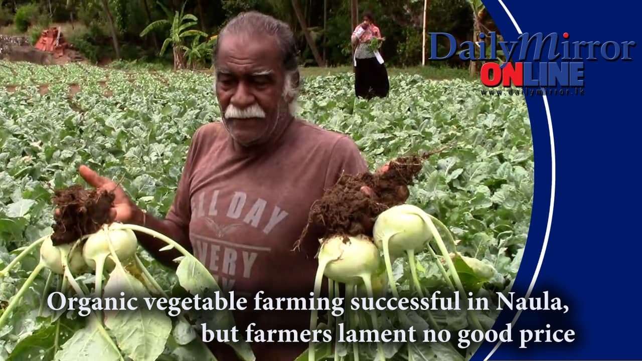 Organic vegetable farming successful in Naula, but farmers lament no good price