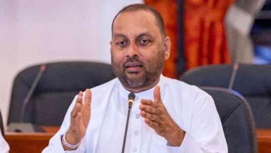 Responsibility given to plant and seed planting centre for production of 20mn tea plants