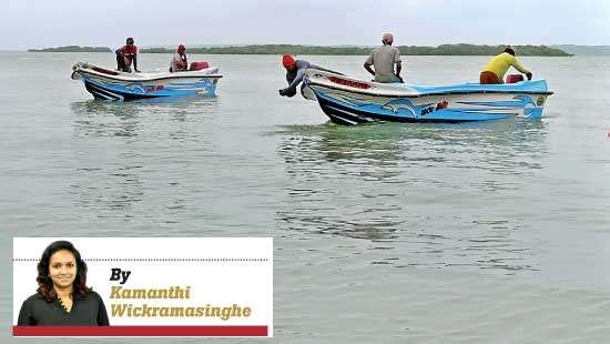 Spotlight on Kalpitiya Illegal bottom trawling ban a victory for  small-scale fishermen