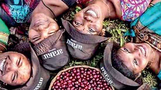 Araku Coffee: India’s journey from local heritage to global prestige