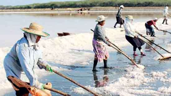 Import delays and dry weather sparks nationwide  salt shortage: Producers