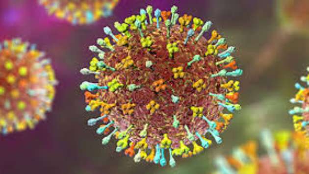 Myanmar steps up Nipah virus monitoring, issues travel health advisory