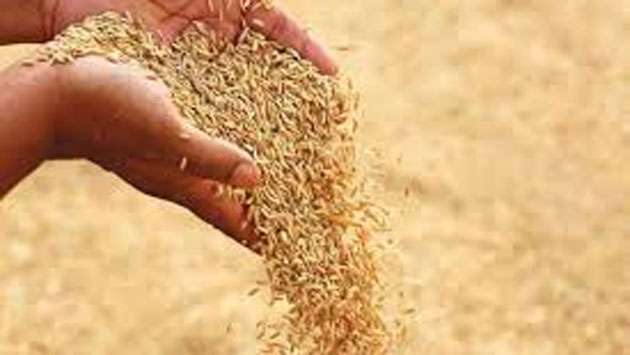 Cabinet approves obtaining additional funds to purchase paddy in Yala season