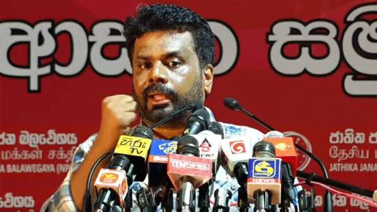 Moves to reinstate members of LG bodies against democratic principles: NPP