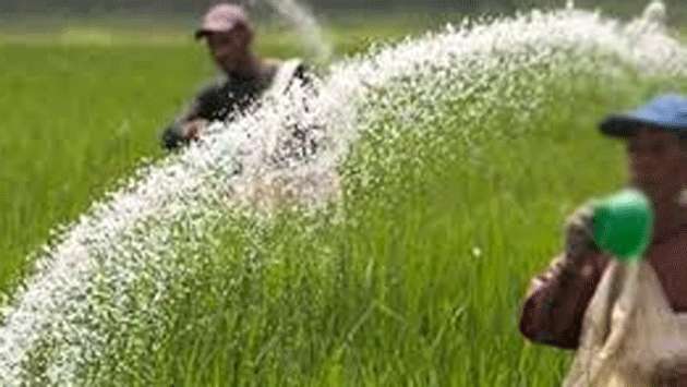 Fertilizer shortage threatens Yala paddy cultivation: Farmers’ Union warns