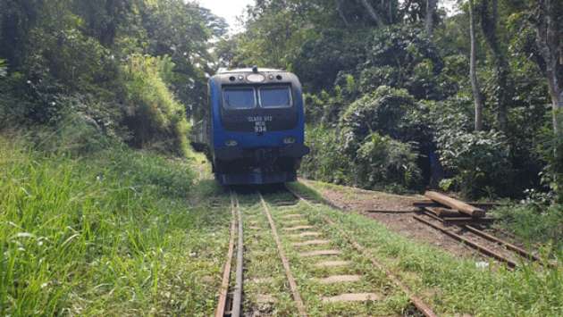 The loneliest train in the world?
