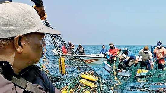 Caught in the Net: How Illegal Practices Hurt Our Seas