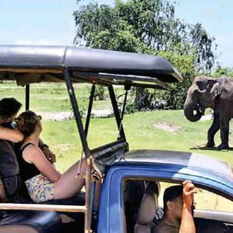 recent news sri lanka November sees steep increase in tourist arrival rate