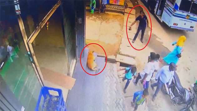 Man accused of pouring hot water on dog in Bhagwanthalawa