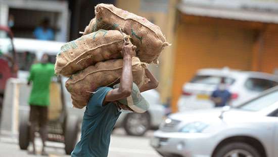 Foodstuff and essentials unloaded at Pettah wholesale Market