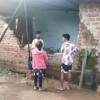 Woman dead after elephant pulls down walls