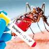 Dengue nears 50,000 cases as islandwide control drive begins