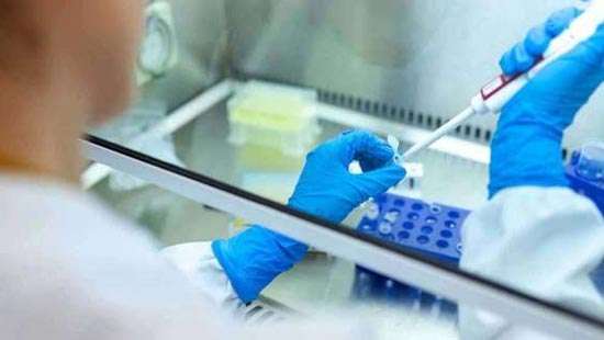 Post mortem PCR not mandatory for all deaths: Health Ministry