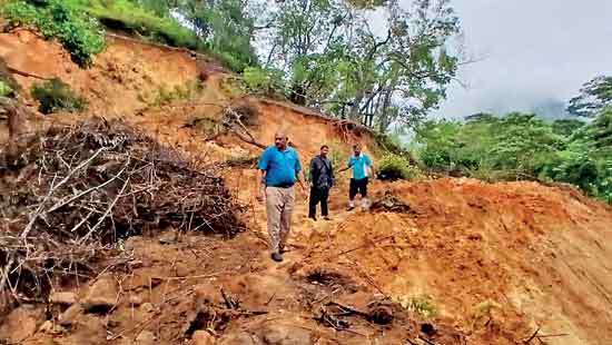 Proposed road to promote tourism threatens protected knuckles forest