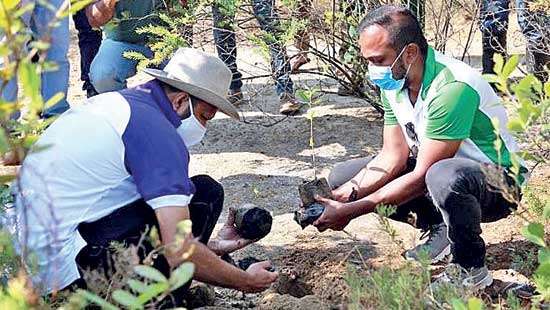 Hemas champions mangrove restoration project on World Wetlands Day