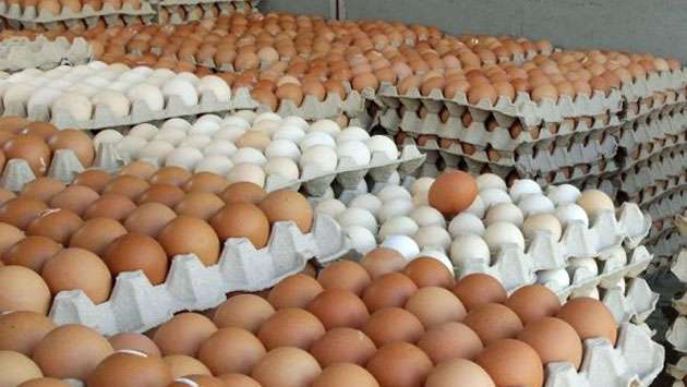 Poultry Farmers’ calls for stabilization of poultry feed prices