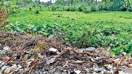 Mirihana marshlands being filled by organised groups