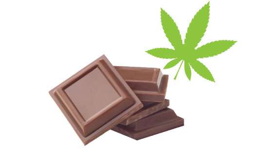 Chocolate mixed with cannabis for Valentines Day’ - Ayurveda Dept. to take legal action