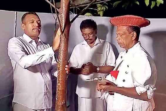 Kap cutting ceremony of Kandy Esala Festival commenced yesterday