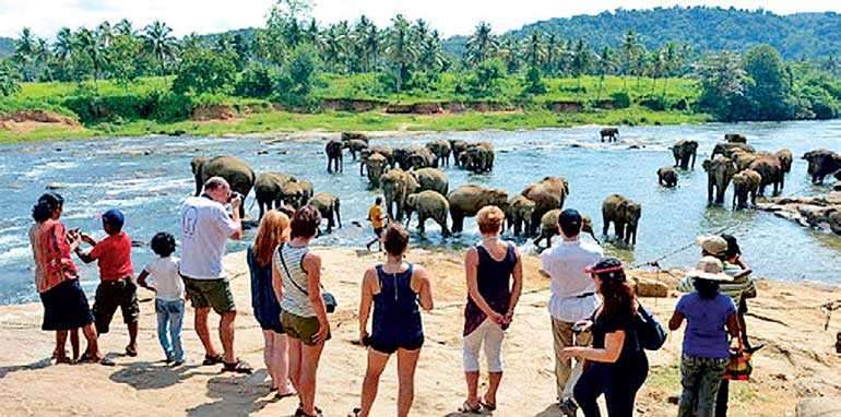 Tourism industry nets US$ 130Mn revenue in first 10 months