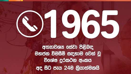 Hotline introduced for inquiries on essential services